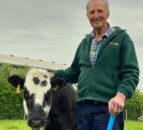 Farmer hopes to raise over £220k for ovarian cancer charities with cattle sale
