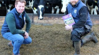 Derry farmer to travel to Denmark for study trip on dairy