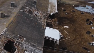 Graphic video: ‘Ukrainian farmers cannot risk their lives on minefields’