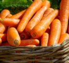 UK must double the land used to grow fruit and vegetables - Soil Association