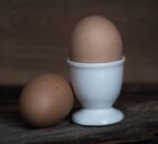 2024 Free Range Egg Show to return to Telford in November