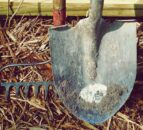 HCC: Welsh farmers are adapting to new challenges