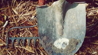 HCC: Welsh farmers are adapting to new challenges