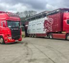 Almost 10,000 cattle exported in first 5 weeks of 2023
