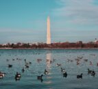US and UK must work together for agriculture's future - Coffey