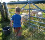 Survey reveals lack of public knowledge on farming and a need for agritourism