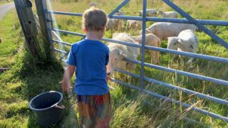 Survey reveals lack of public knowledge on farming and a need for agritourism