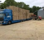 Terravesta farm walk to showcase miscanthus benefits