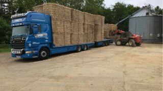 Terravesta farm walk to showcase miscanthus benefits