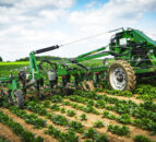 Vaderstad buys into the inter-row cultivation market