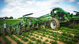 Vaderstad buys into the inter-row cultivation market