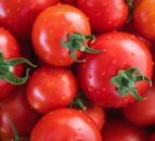 Retailers asked to review farmer relationships amid shortages