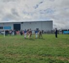 No poultry classes at this year’s Balmoral Show