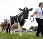 Royal Bath & West to launch new veterinary award