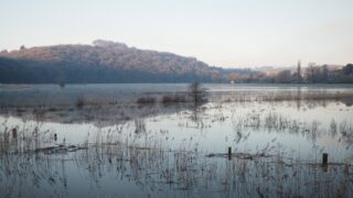 Countryside Stewardship granted to Calstock wetlands