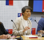 Chile records first case of bird flu in a human