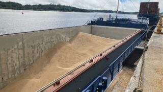 Tillage: Global grain prices under slight pressure