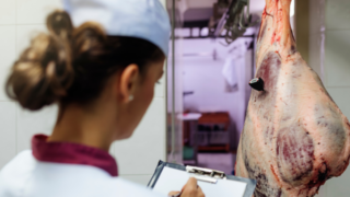 Meat sector urged to contribute to gender equality report