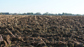 Analysis: Many arable soils in UK still too acidic
