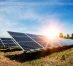 Research: Co-locating crops and solar can increase performance
