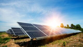 Research: Co-locating crops and solar can increase performance