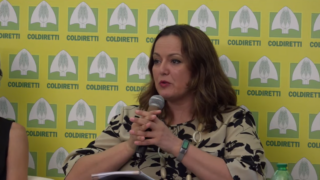 World Farmers’ Organisation sets up solidarity fund for members