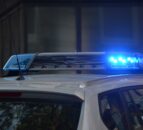 NI man arrested for possible badger baiting