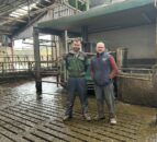 Dairy Focus: Milking 240 cows with 4 GEA robots in Antrim