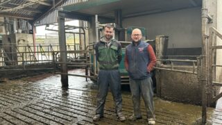 Dairy Focus: Milking 240 cows with 4 GEA robots in Antrim