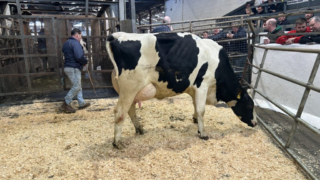 Prices reach 3,800gns at Taaffe Auctions’ monthly sale