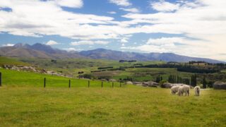 £20k food and farming prize launched