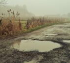 NFU Mutual warns of potential spike in rural road accidents over Easter