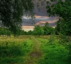 Purple Horizons Nature Recovery Project wins Public Sector Award