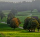 Bus fares in rural England drop by 11%