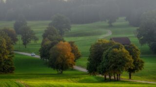 Bus fares in rural England drop by 11%