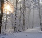 Weekend weather: Cold snap but mostly dry conditions