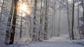 Weekend weather: Cold snap but mostly dry conditions