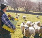 EIT Food outlines ways for livestock industries to reach net zero