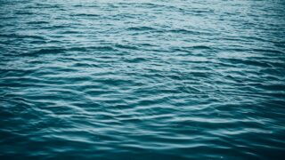Sewage discharge has greater impact on rivers than agri land use – study