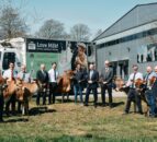 King Charles gifts heifers to Jersey dairy farm after herd loss