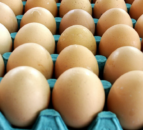Court: Egg packers prosecuted for forging best before dates