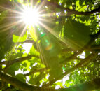 Report: Temperatures in Europe climbing at twice global average
