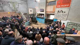 First sale under new ownership at Fivemiletown Mart