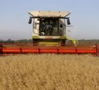 Ukraine ‘open’ to talks as Poland suspends grain imports