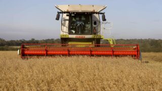 Ukraine ‘open’ to talks as Poland suspends grain imports
