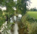 Lancashire dairy farm fined £10,000 for slurry pollution