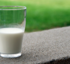 Export programmes deliver £55.6m in sales for NI dairy industry