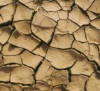Spain’s ag minister requests EU crisis funds amid severe drought