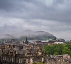 Plant-based diets can free up land for rewilding – research
