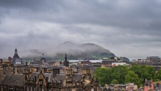 Plant-based diets can free up land for rewilding – research